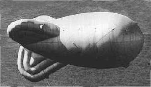 Barrage Balloon from World War II