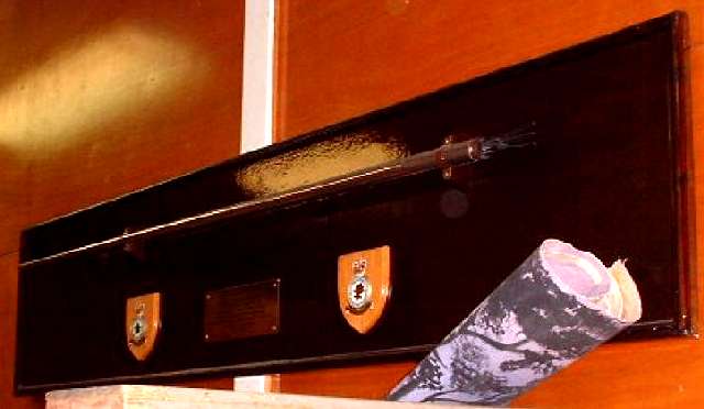 Section of Lightning Pitot Tube