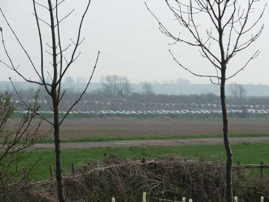 RAF Bottesford airfield photographed in 2005, looking east across runway 01-19 and 14-32 with peri-track in foreground