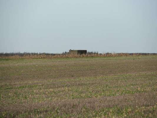 RAF Wellingore Pill Box at SK985540, photographed in Jan 2005.