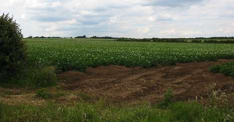 Current field boundaries and employment at RAF Wellingore airfield site.